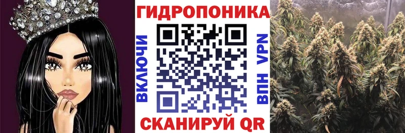 Каннабис планчик Купить закладки Осинники